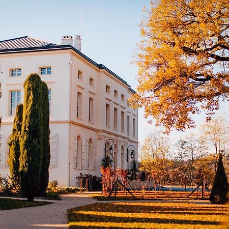 Hotel Chateau De Longpre Varilhes Exterior foto